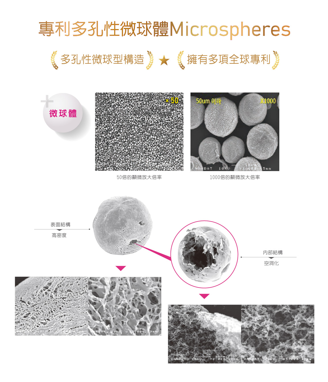 精靈針