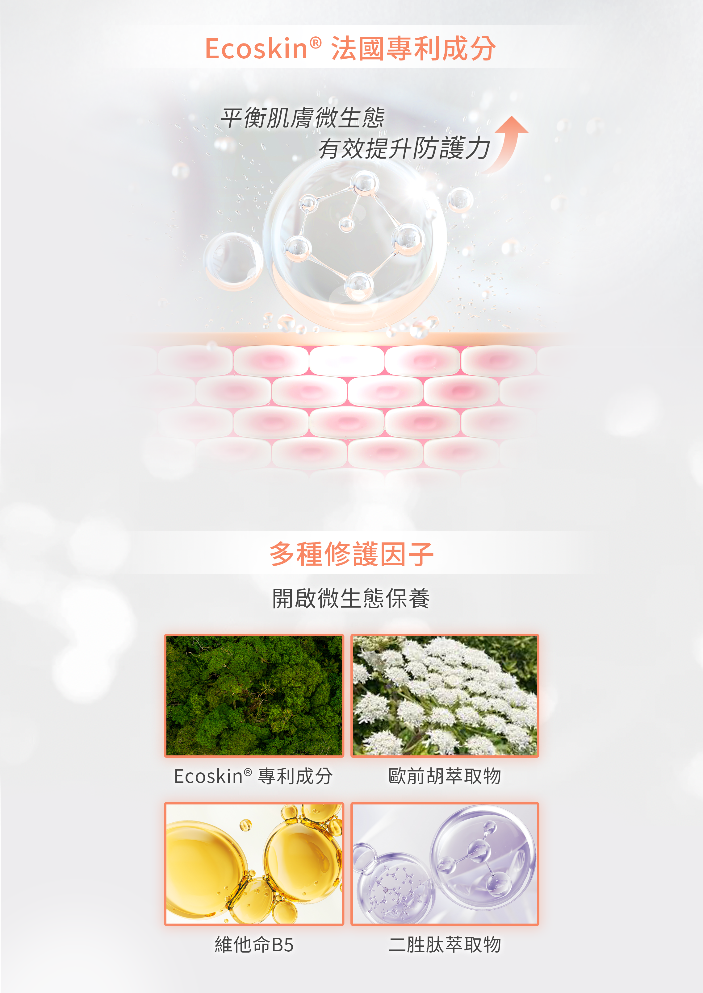 SOS全能修護課程 4