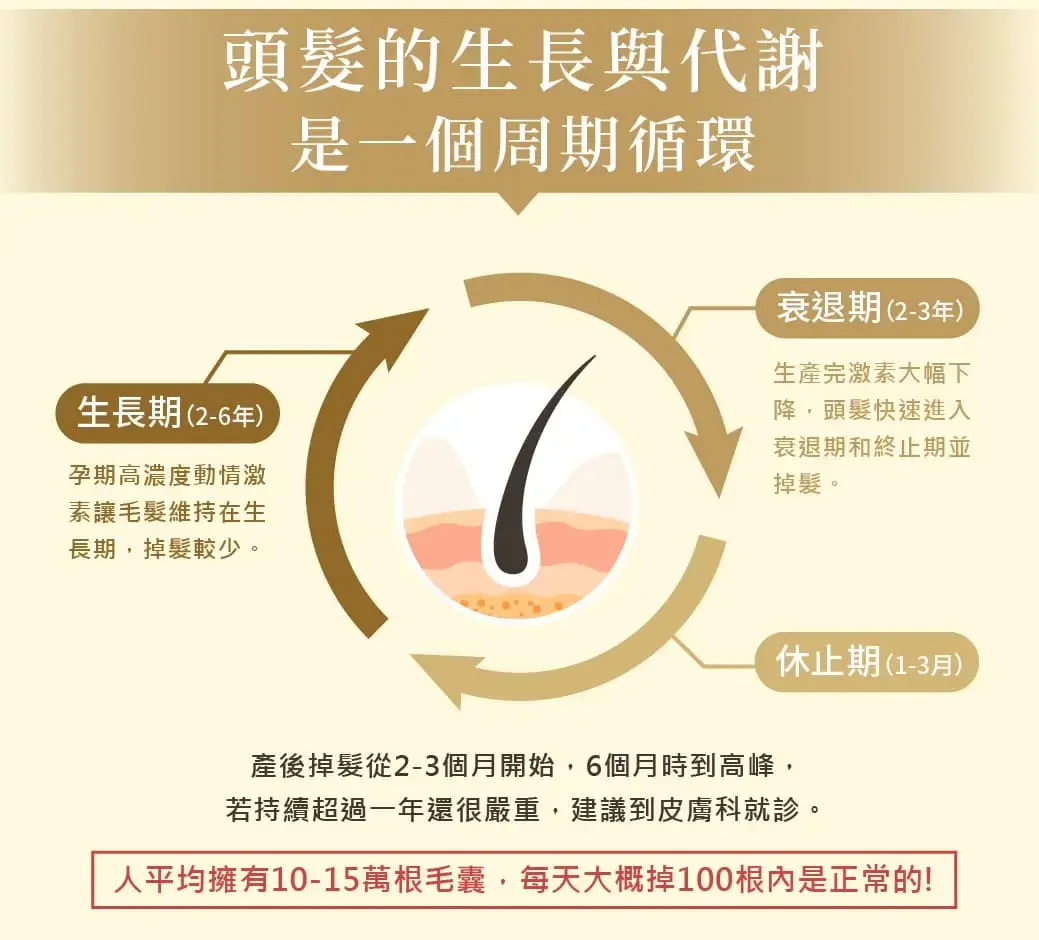 即刻打造健康養髮環境 7