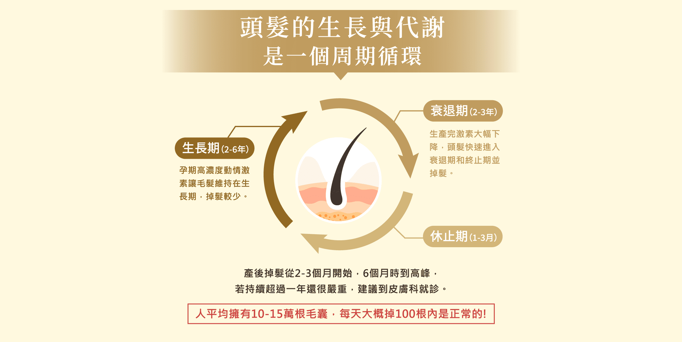 ＃即刻打造健康養髮環境｜頭皮健髮
